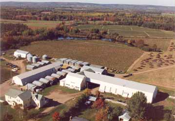Aerial view of Webster Farms
